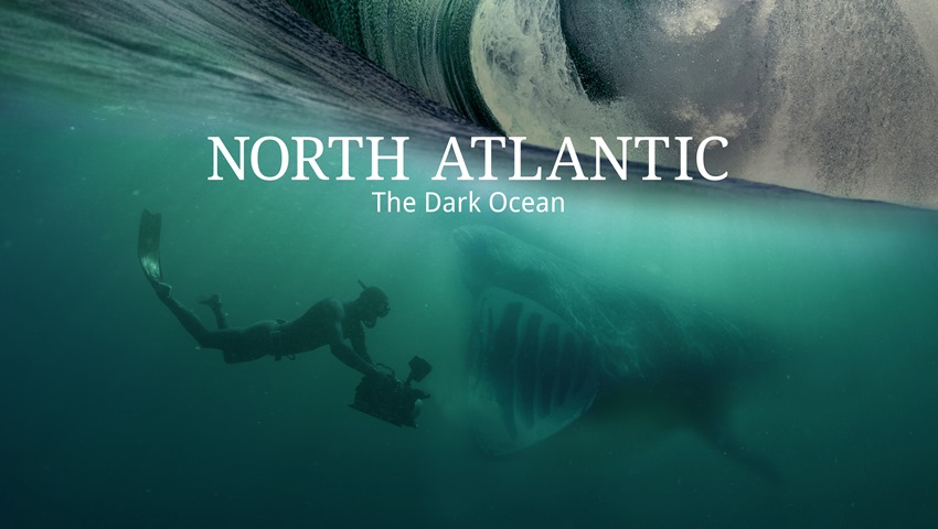 „Północny Atlantyk: mrok oceanu” od niedzieli 13 sierpnia na kanale BBC Earth
